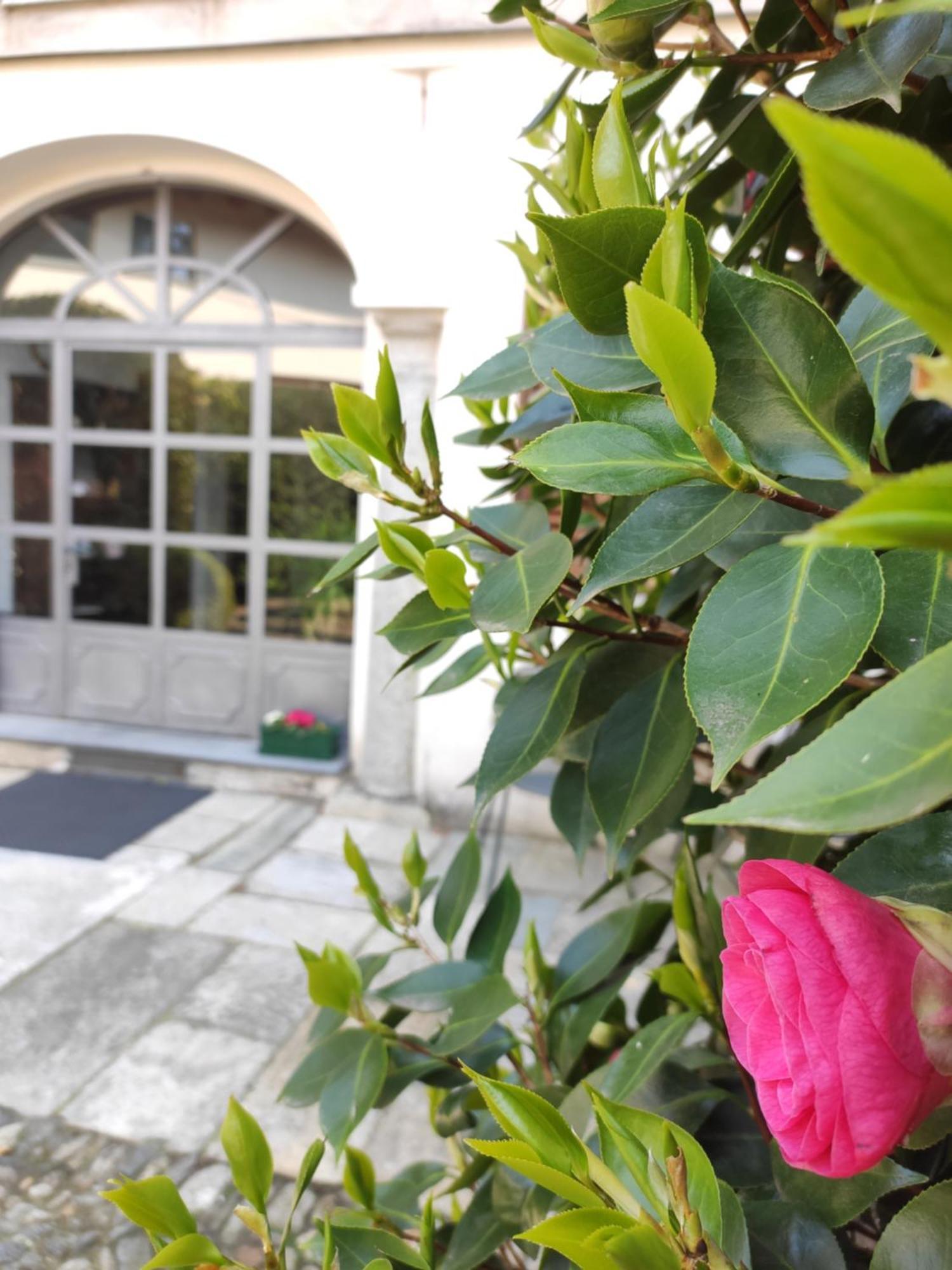 Casa Cannobio Eksteriør billede